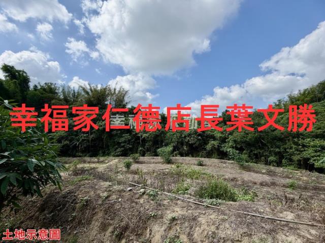 台南關廟農地-15