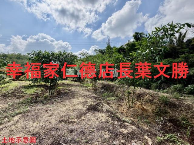 台南關廟農地-2