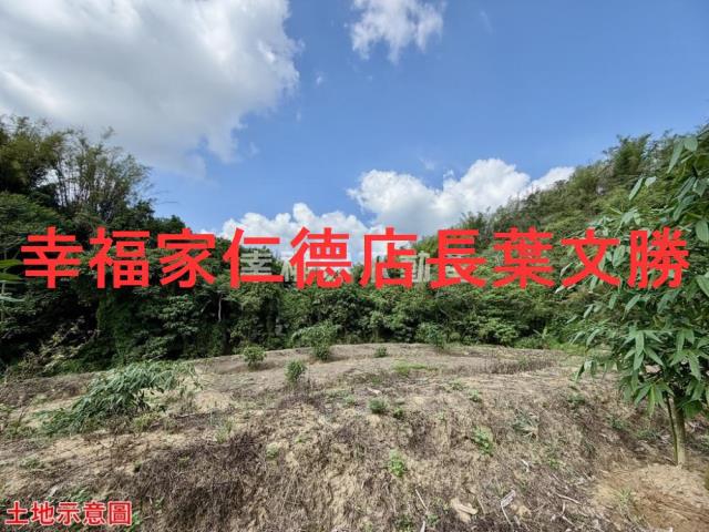 台南關廟農地-4