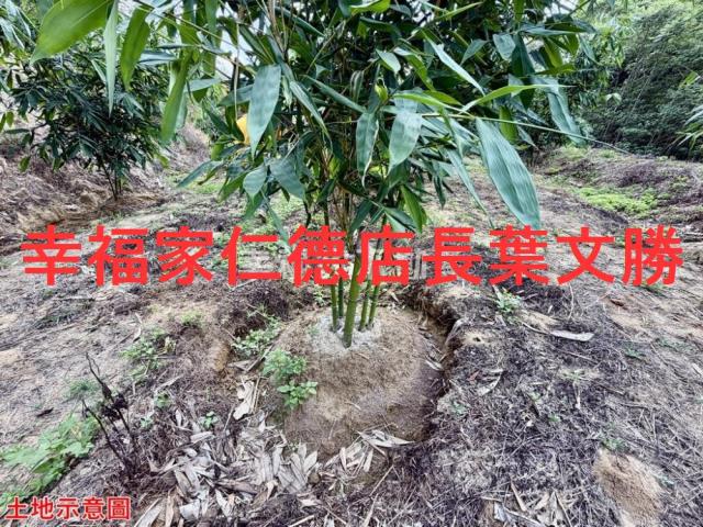 台南關廟農地-7