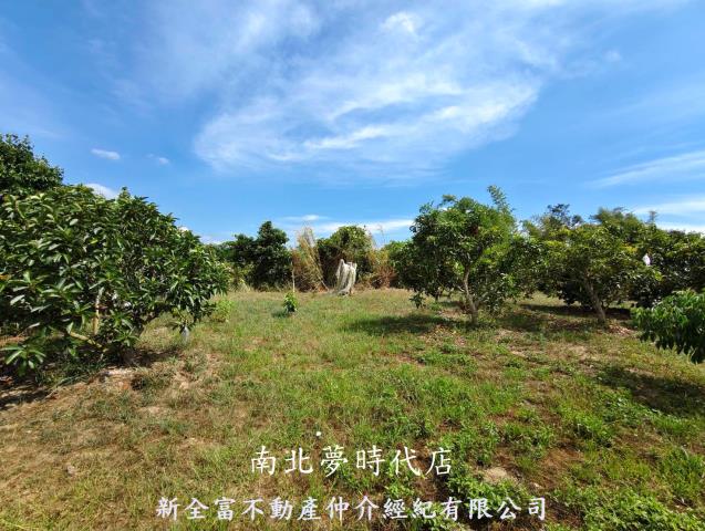 台南玉井農地-1