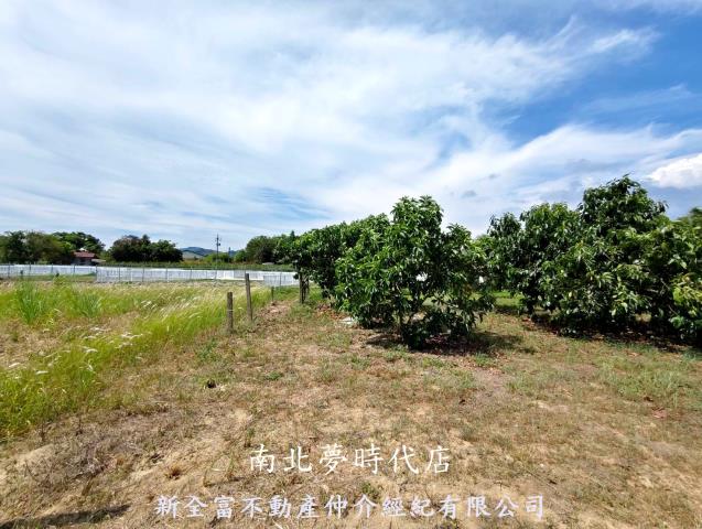 台南玉井農地-9