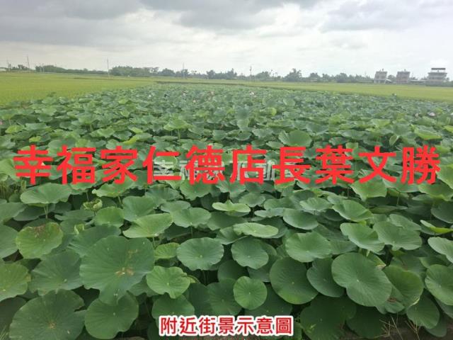 台南白河農地-10
