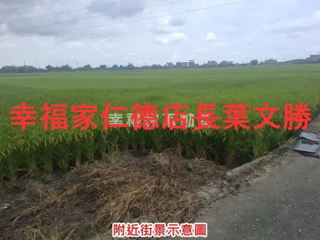台南白河農地-14