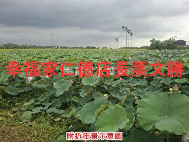 台南白河農地-6
