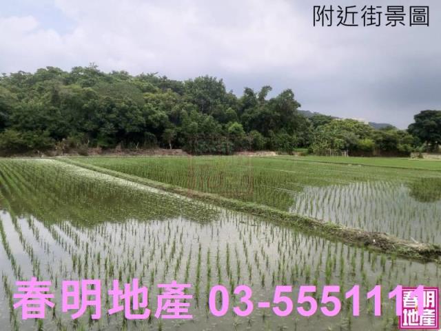 新竹竹北建地-2