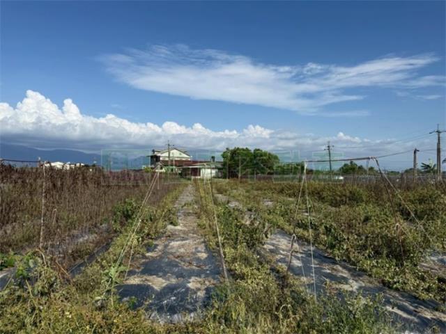 高雄美濃農地-13