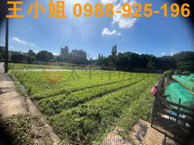 桃園中壢農地-10