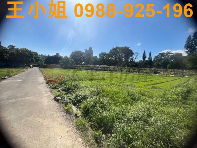 桃園中壢農地-8
