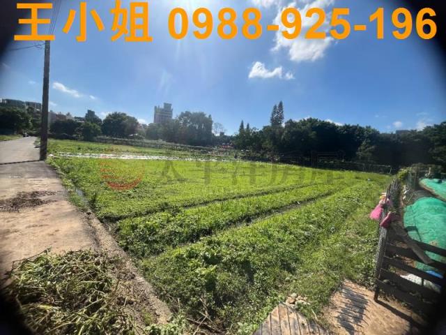 桃園中壢農地-9