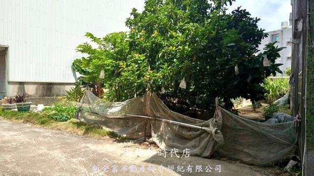 新市建地-9