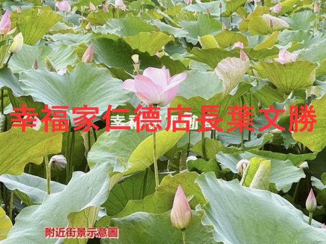 白河農地-6