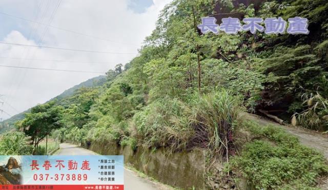 泰安山坡地-2