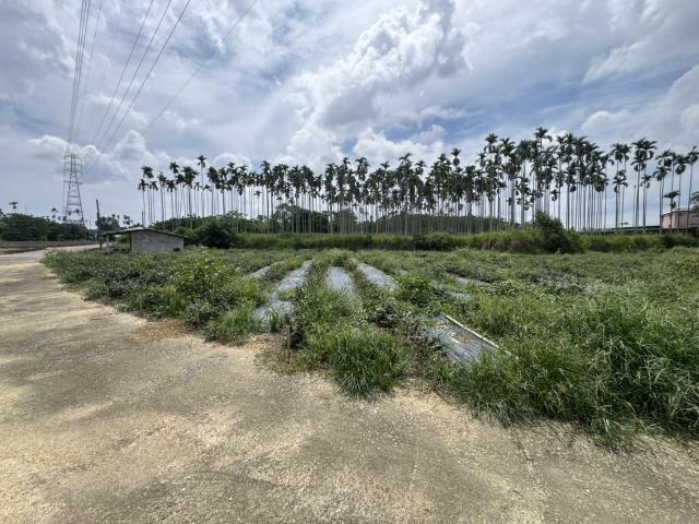 名間農地-2