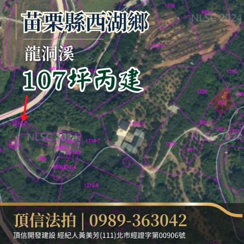 西湖法拍建地-2