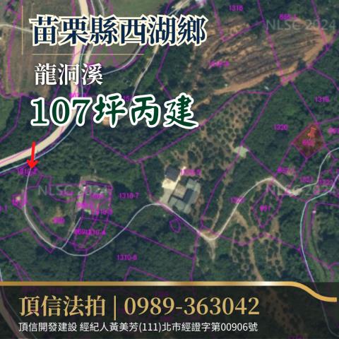 西湖法拍建地-3