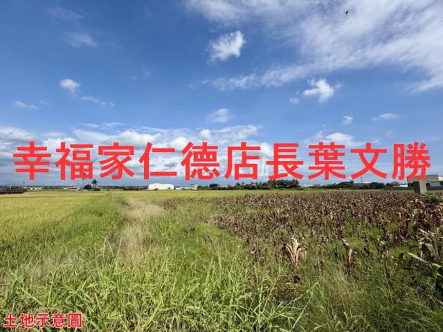 仁德農地-12