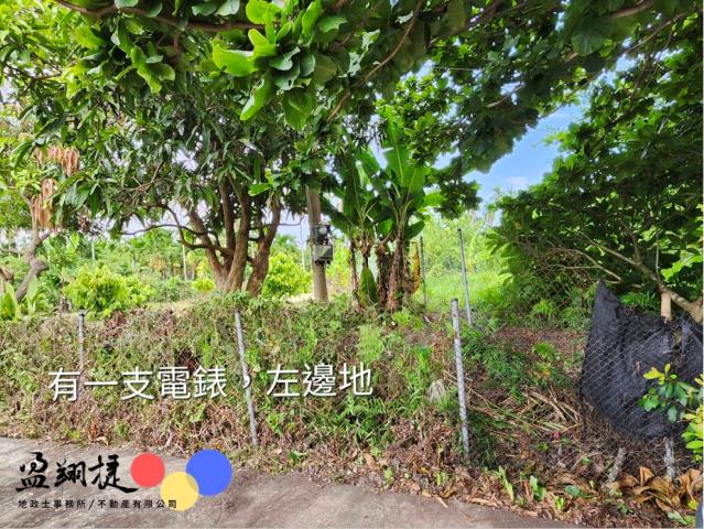 屏東農地-1