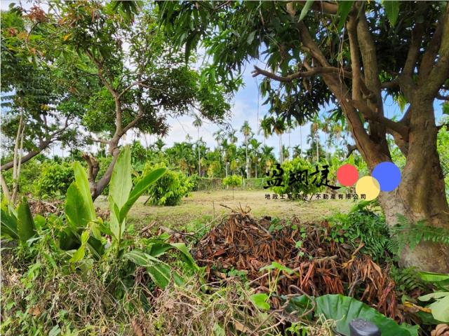 屏東農地-2