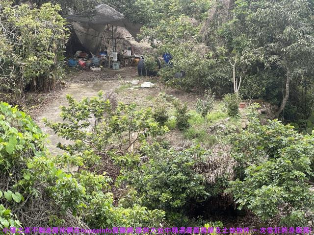 台中農地_山坡地-1