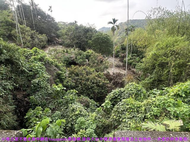 台中農地_山坡地-3