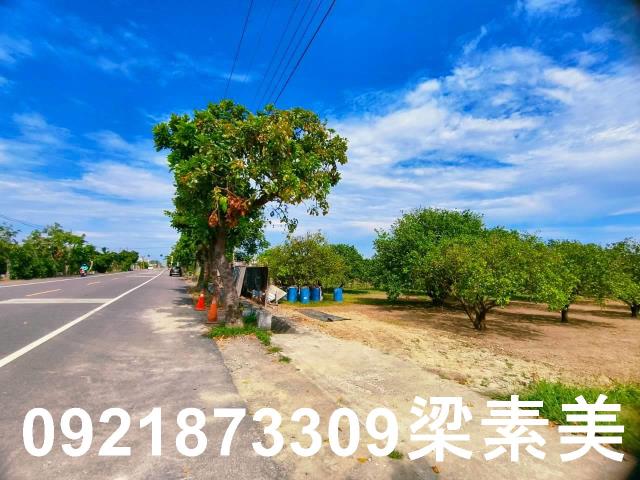 台南佳里農地-2