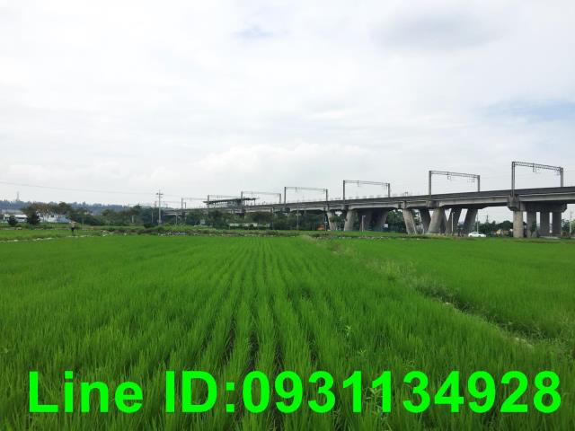 台中后里農地-1