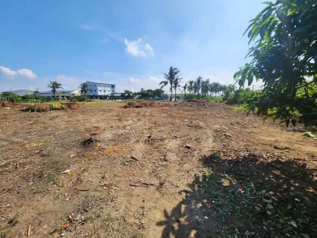 高雄路竹農地-5