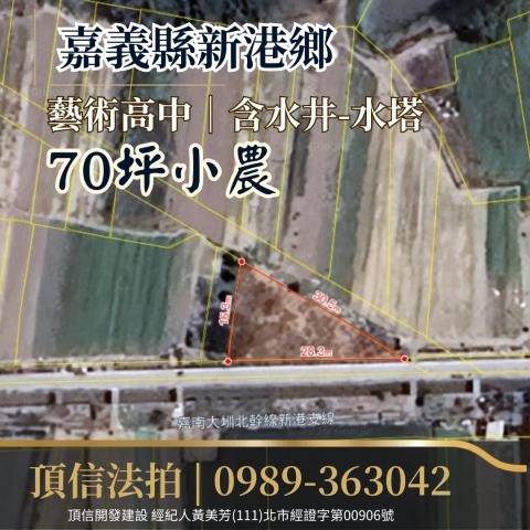 嘉義新港法拍農地-3