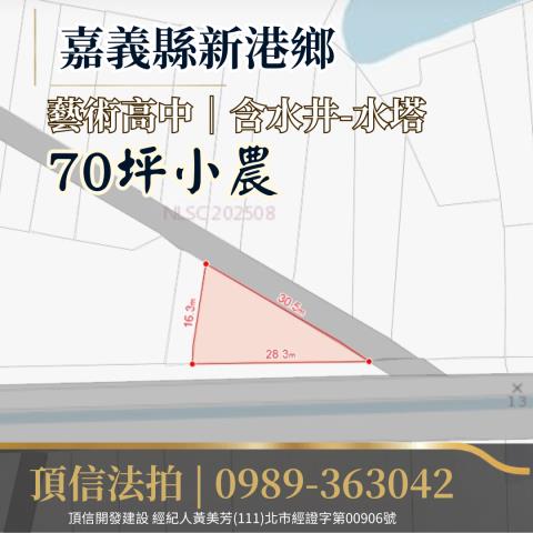 嘉義新港法拍農地-4