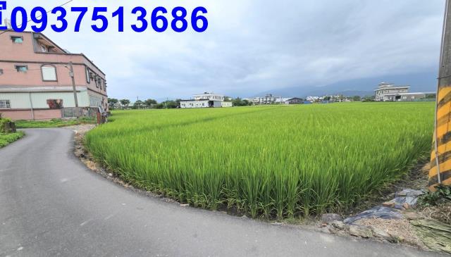 宜蘭壯圍農地-6