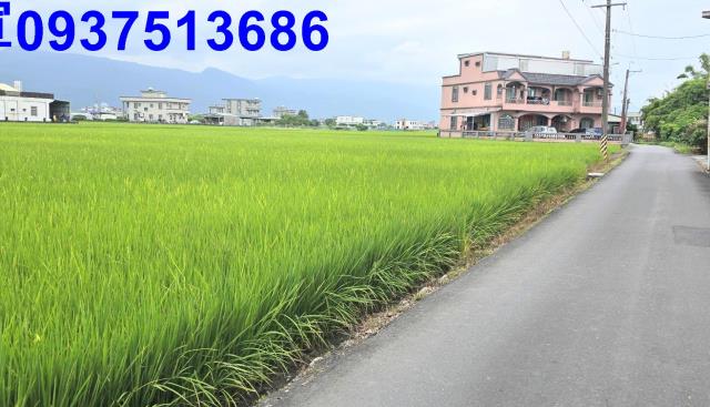 宜蘭壯圍農地-8