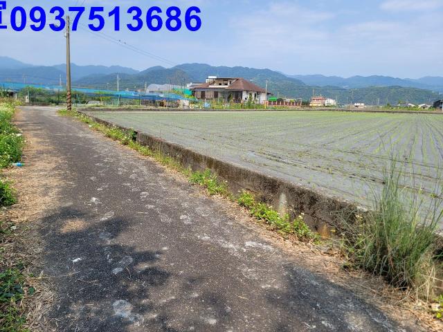 員山農地-6