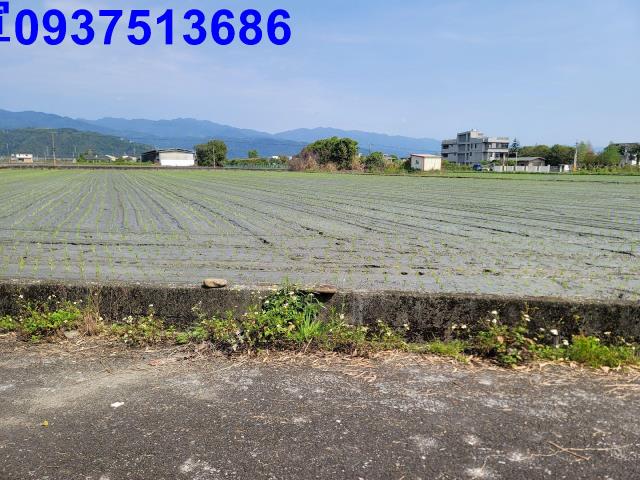 員山農地-7