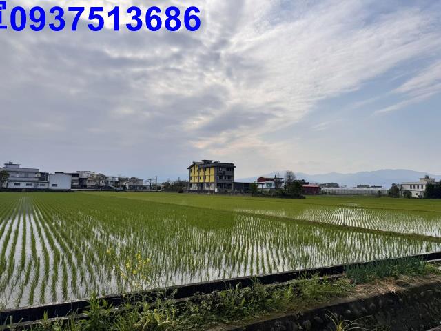 壯圍農地-8