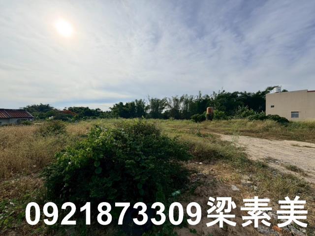 關廟農地-2