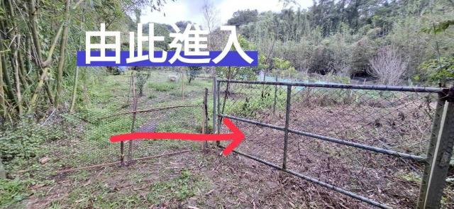 桃園農地-1