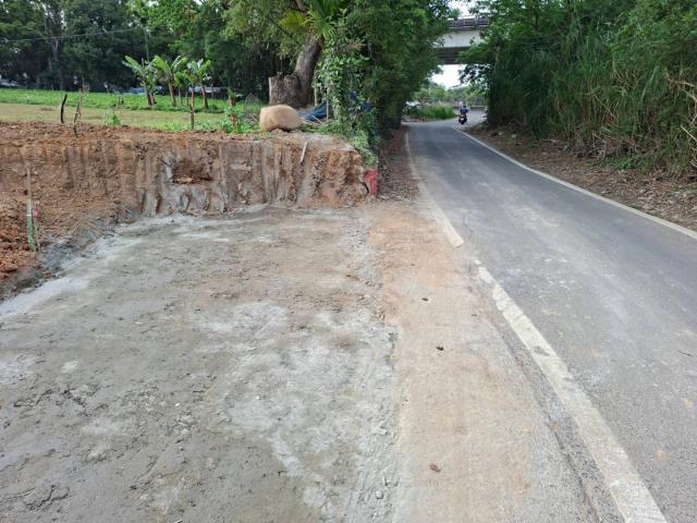 桃園農地-1