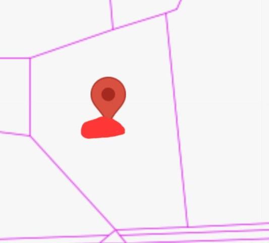 台南新市農地-9