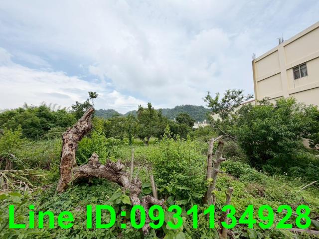 台中豐原農舍-2