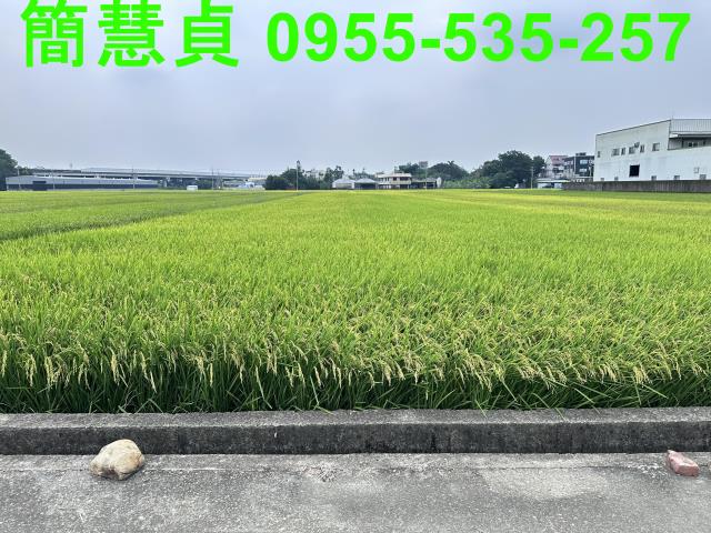 南投草屯農地-2