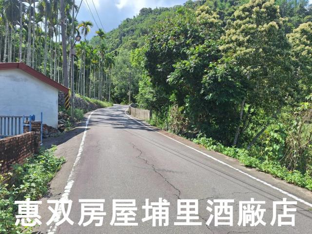 南投埔里農地_建地-1