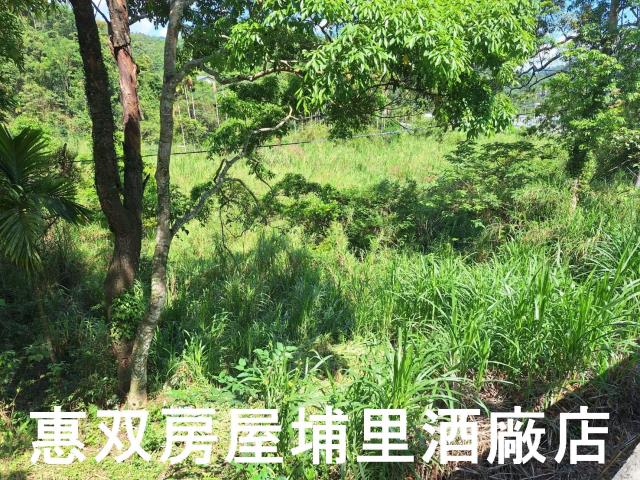 南投埔里農地_建地-2