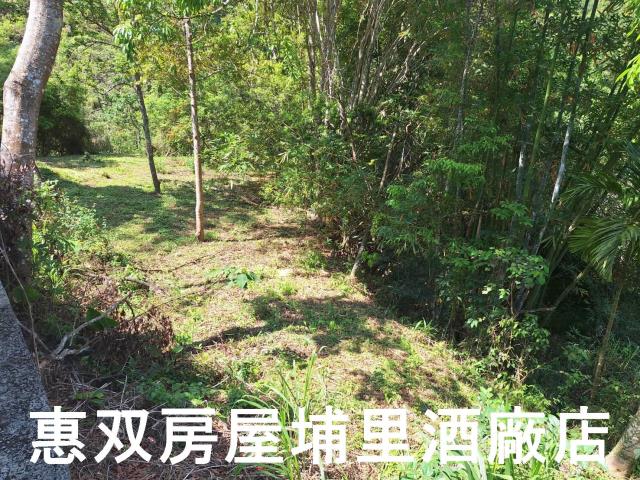 南投埔里農地_建地-3