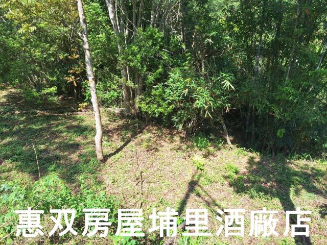 南投埔里農地_建地-4