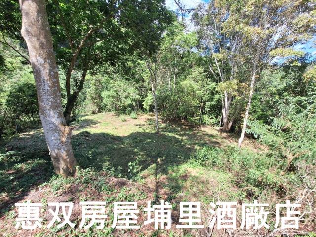 南投埔里農地_建地-5