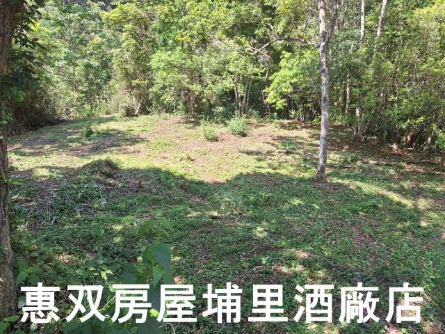 南投埔里農地_建地-6