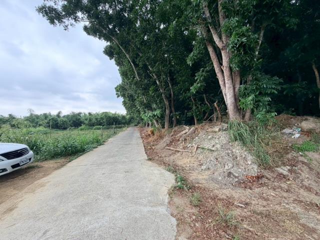 台南關廟農地-2