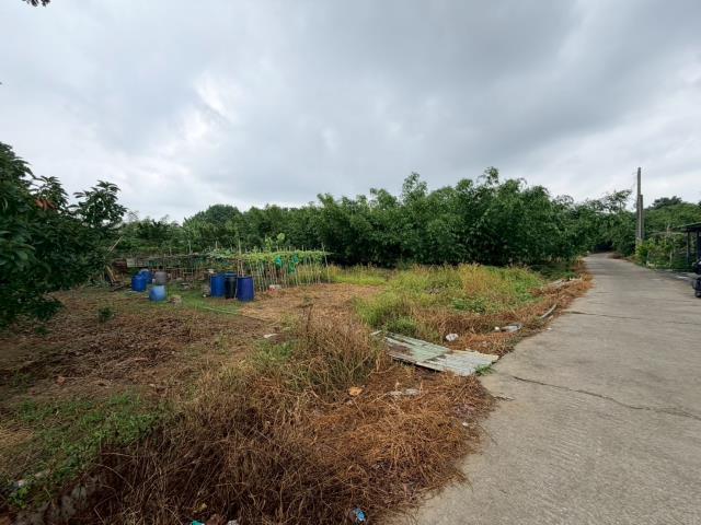 台南關廟農地-6