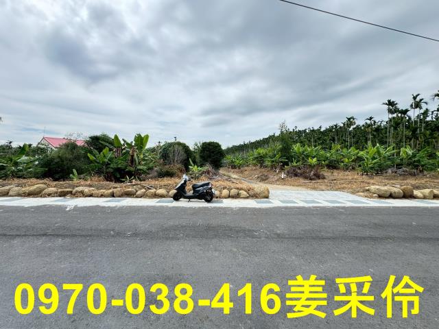 嘉義新港農地-1